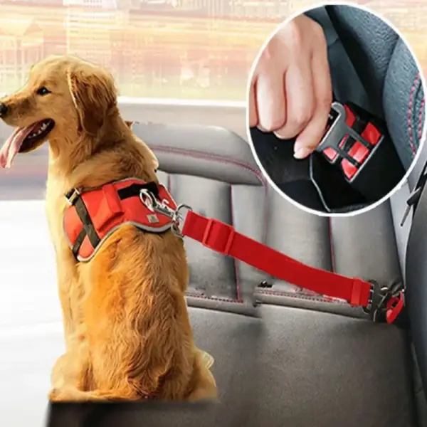 Hundegurt fürs Auto – robust, verstellbar und sofort einsatzbereit