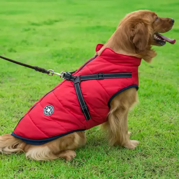 Hundeweste mit integriertem Leinen-Anschluss
