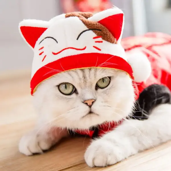 Katzen-Kostüm Mützen – Süß, lustig & perfekt für Fotos!