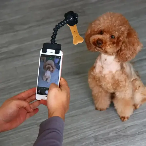 Haustierfotografie-Tool: Pet Selfie Stick – Bild 3