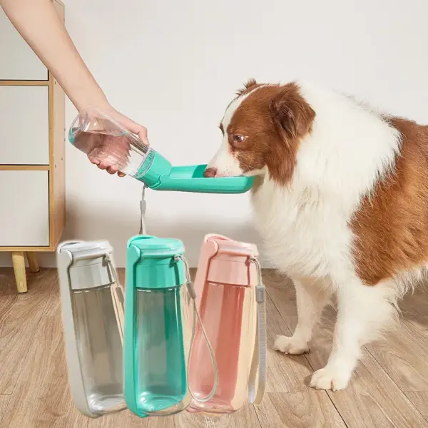 Der Napf für unterwegs – platzsparend, hygienisch, smart