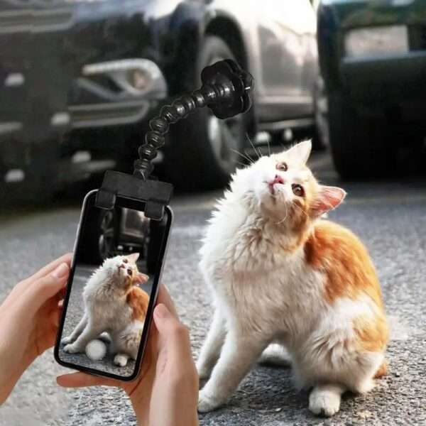 Haustierfotografie-Tool: Pet Selfie Stick – Bild 2