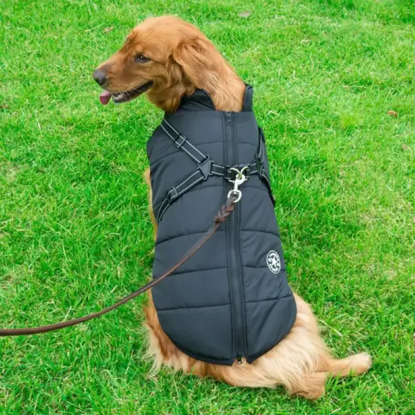 Hundeweste mit integriertem Leinen-Anschluss – Bild 4