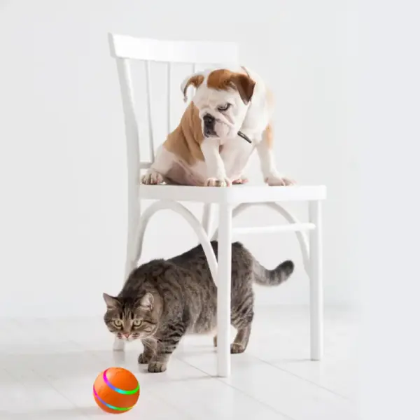 Interaktiver LED-Ball mit Fernbedienung - Spielspaß für Hund & Katze – Bild 2