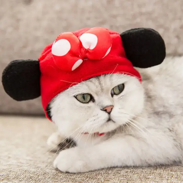 Katzen-Kostüm Mützen – Süß, lustig & perfekt für Fotos! – Bild 2