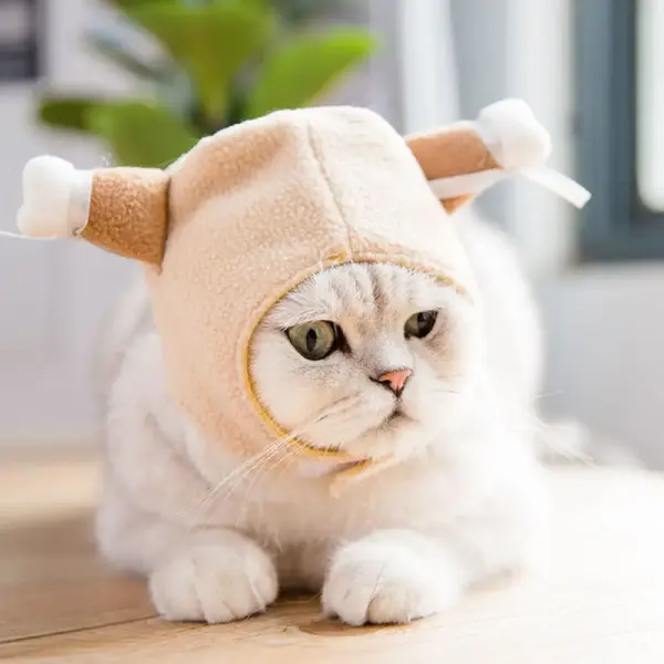 Katzen-Kostüm Mützen – Süß, lustig & perfekt für Fotos! – Bild 4