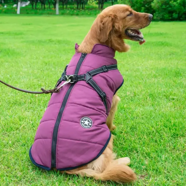 Hundeweste mit integriertem Leinen-Anschluss – Bild 2