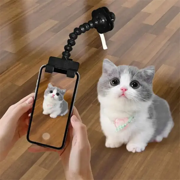 Haustierfotografie-Tool: Pet Selfie Stick