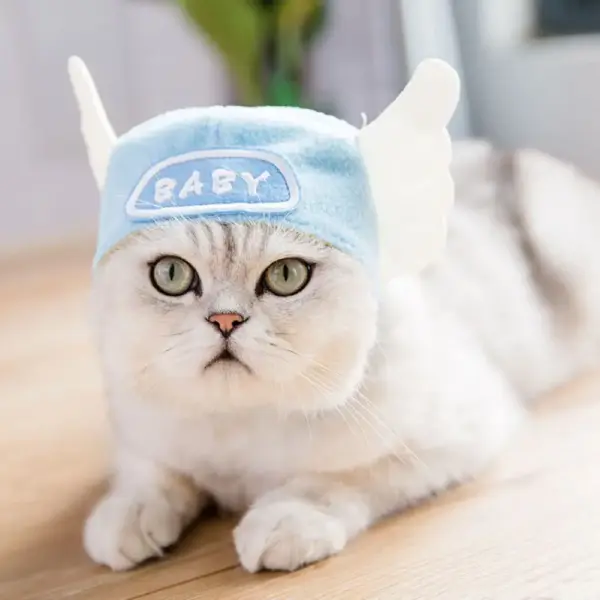Katzen-Kostüm Mützen – Süß, lustig & perfekt für Fotos! – Bild 3