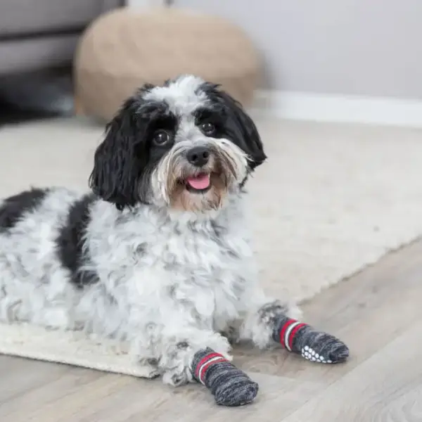 Trixie Hundesocken - Grau – Bild 3