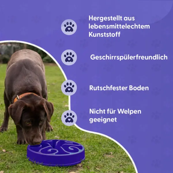 Eat Slow Live Longer Anti-Schlingnapf – Bild 4