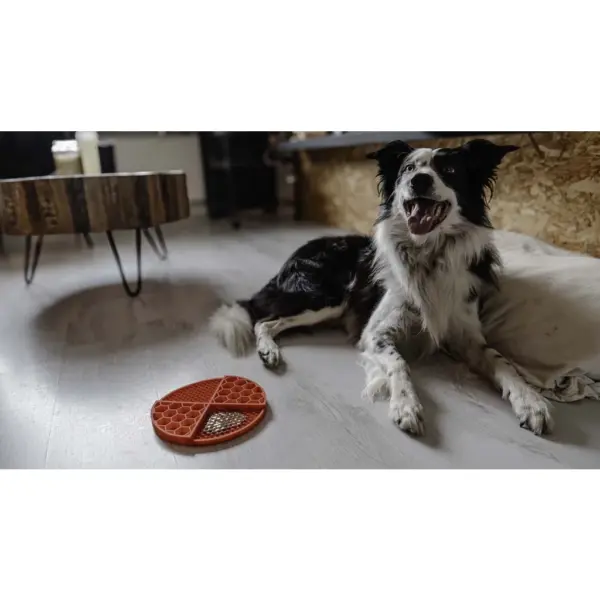 Eat Slow Live Longer Leckmatte rund – Anti-Schling-Matte für Hunde & Katzen – Bild 3
